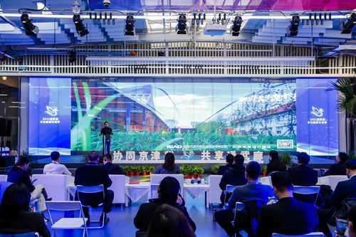 今起通武廊捧出 冬奧 文化體驗 等15場文化活動