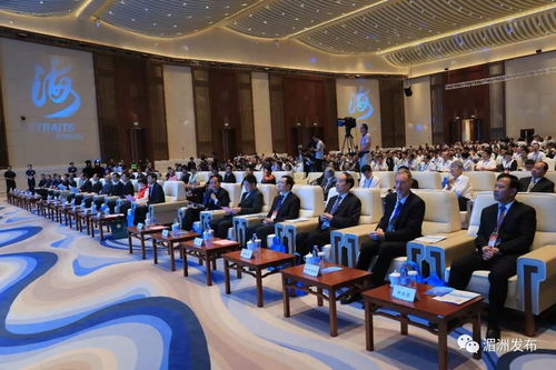 第十屆海峽論壇 媽祖文化活動(dòng)周暨海峽兩岸 媽祖與健康 高峰論壇在湄洲島開(kāi)幕